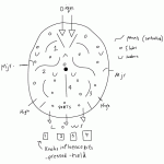 Pachinko_Sketch