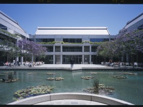 skirball